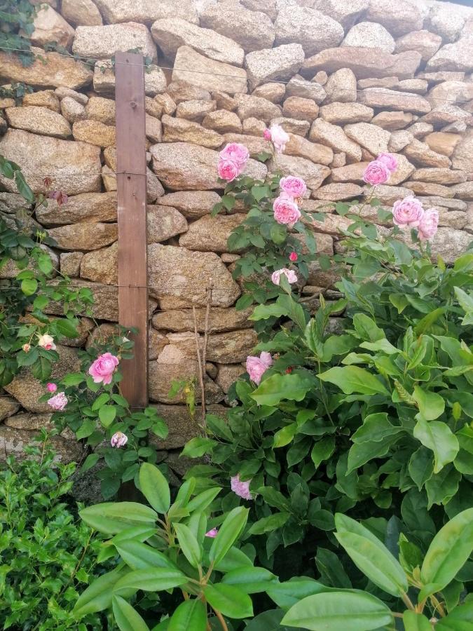 Rosas Da Granja - Casa De Campo エクステリア 写真