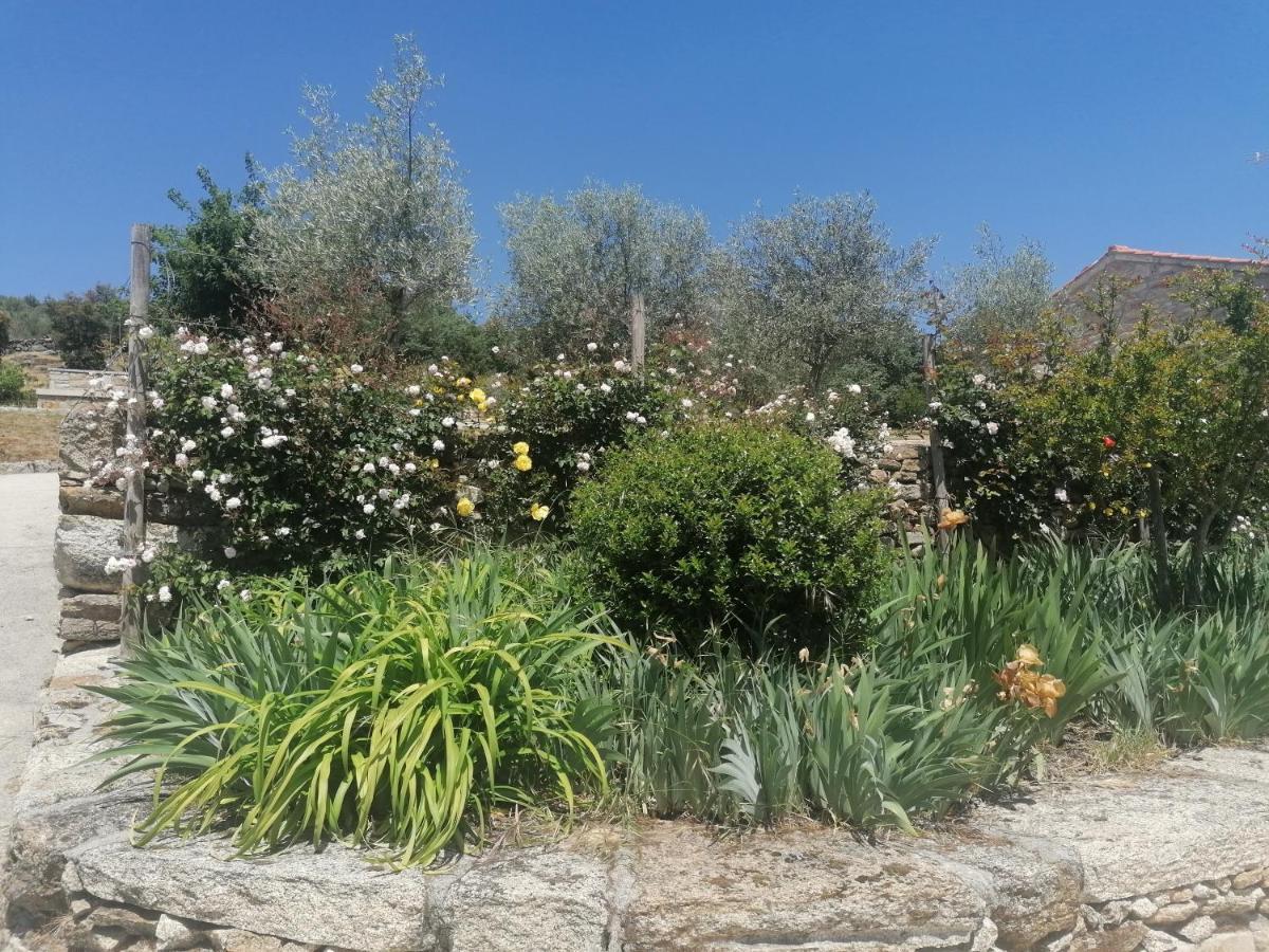 Rosas Da Granja - Casa De Campo エクステリア 写真