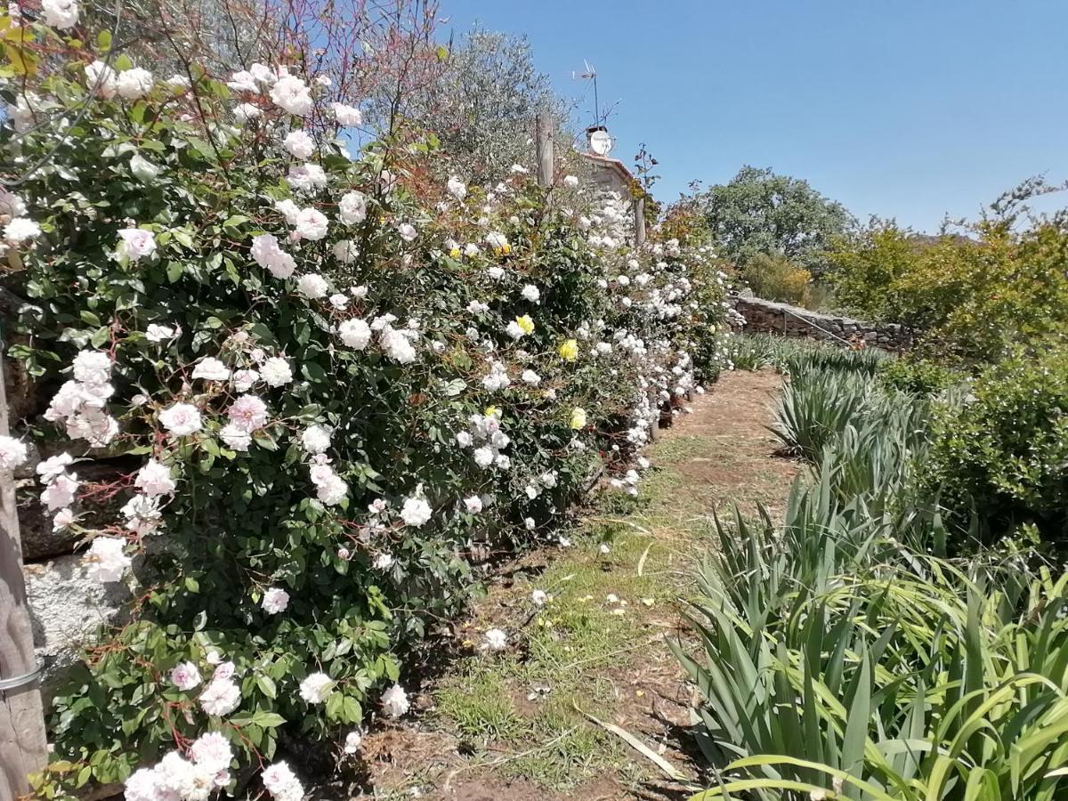 Rosas Da Granja - Casa De Campo エクステリア 写真